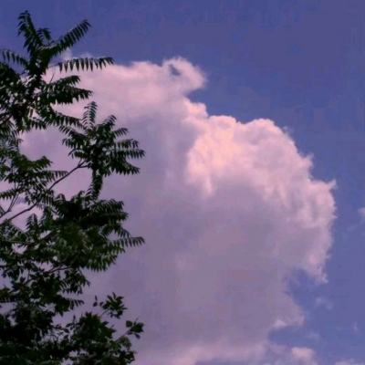传奇小蜘蛛手机游戏下载